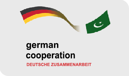 Card image cap img-responsive